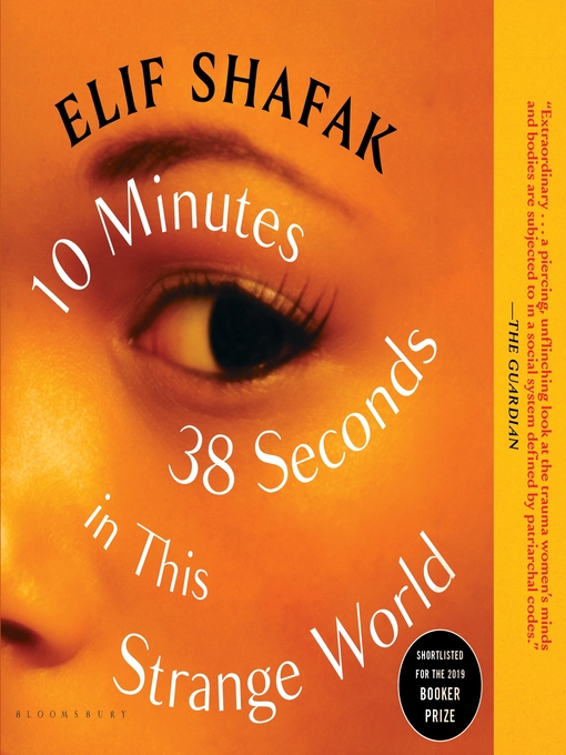 Couverture de 10 Minutes 38 Seconds in This Strange World